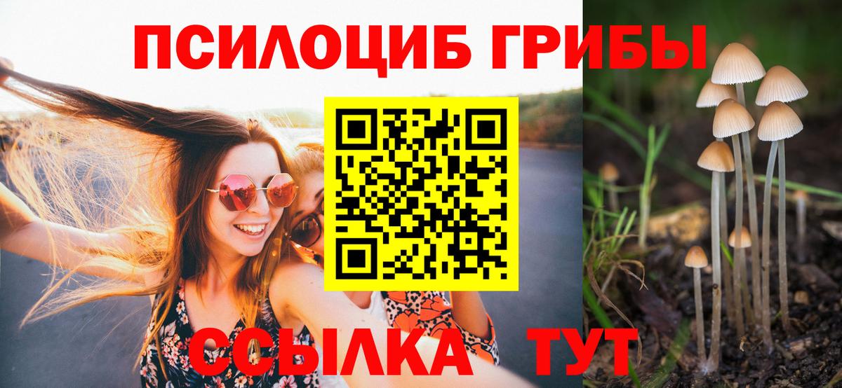 Псилоцибиновые грибы Cubensis  Псилоцибиновые грибы мицелий  Вход с VPN  Тольятти 